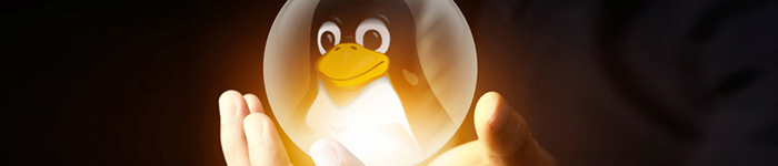 small-linux-trends-forecast