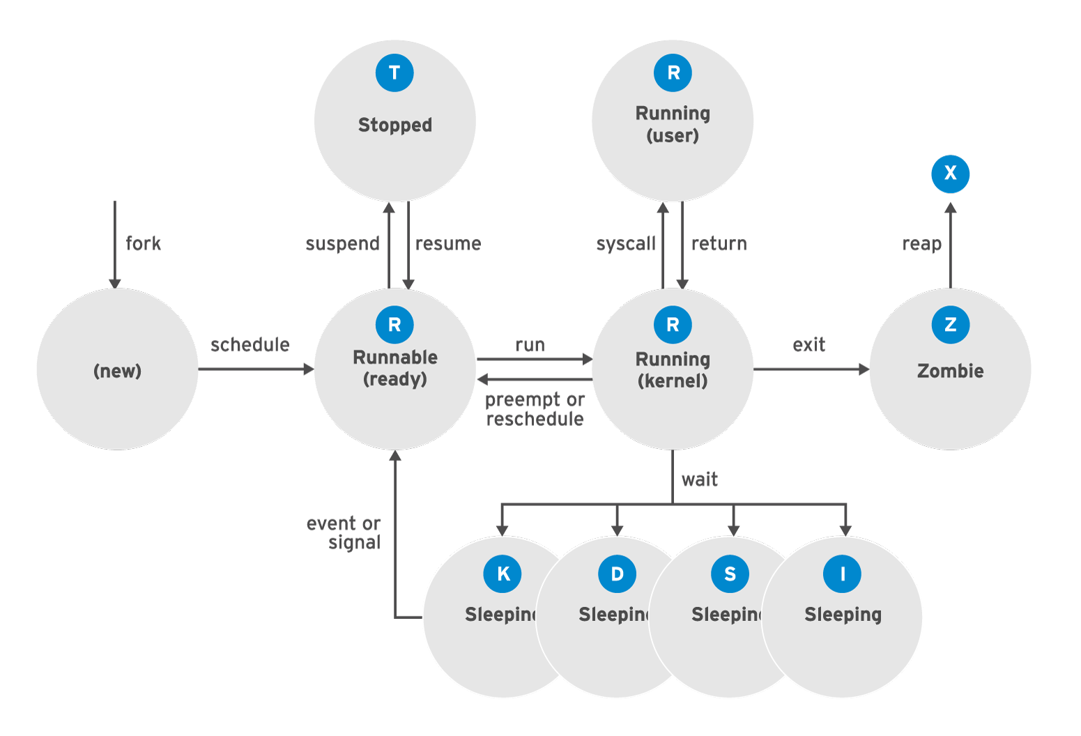 Chapter 6. Managing storage devices in the web console Red Hat