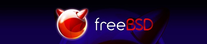 FreeBSD 10.3 正式发布， 支持ZFS引导
