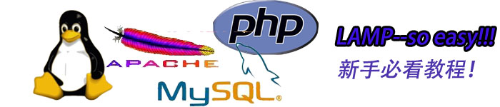 Docker容器里部署Apache+PHP+MariaDB+phpMyAdmin