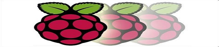 怎么使用树莓派和 iPad Pro 备份图片