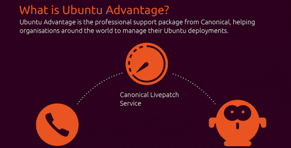 [信息图]Canonical详细解释付费服务Ubuntu Advantage的优势