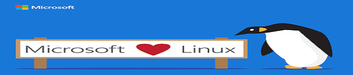 微软警告用户不要去随意修改 Linux 文件