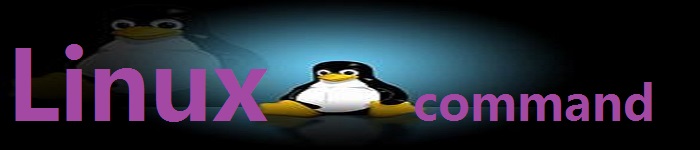 Linux 中必须要了解的命令操作