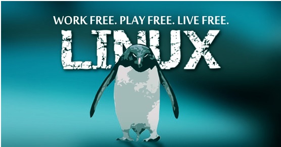 linux_four_stage1