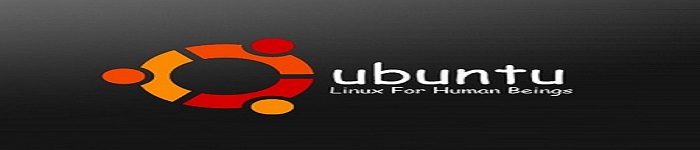 如何在Linux中查找一个文件