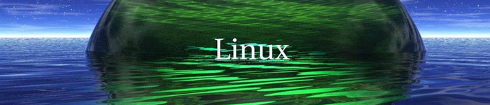 如何在Linux中安全的删除文件和目录