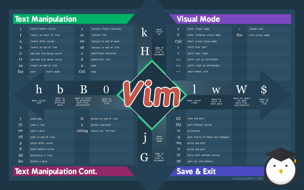 如何在 Vim 中进行文本选择操作和使用标志