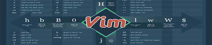 在 Vim 中进行文本选择操作和使用标志