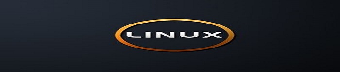 机器学习的未来属于 Linux 内核