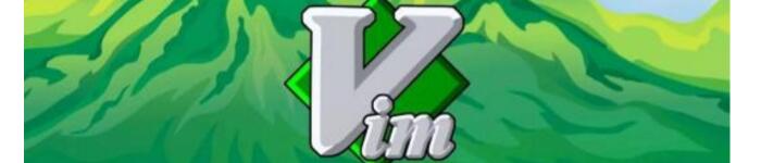 Vim 文本编辑器 入门指南