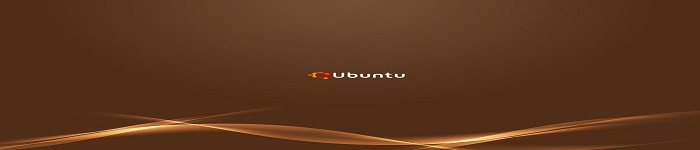 Ubuntu 16.04 上的 NGINX Web 服务器!