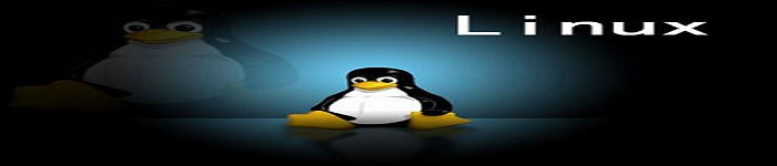 八款精美的 Linux 发行版！