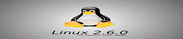 Linux进程退出之方法论