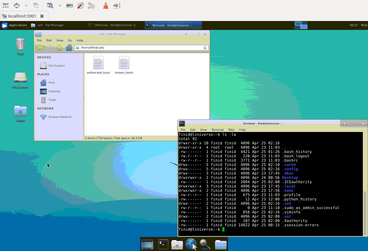 vnc server launch with xcfe