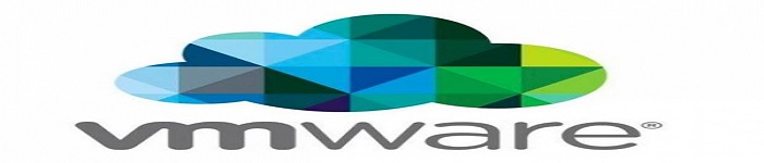 VMware现在竟有两个版本的vSphere？