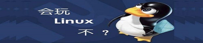 今天聊聊：每个 Linux 新手都应该知道的 四个命令