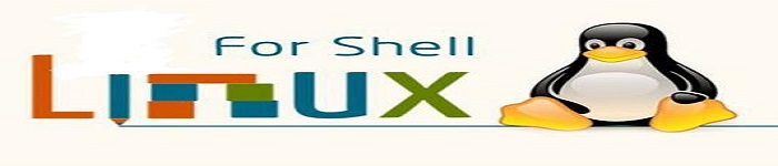 教你用shell脚本在Linux上获取外网IP地址