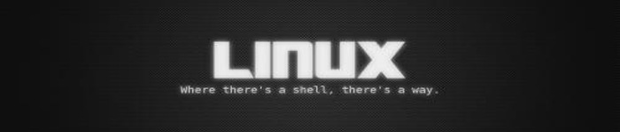 大神教你处理Linux服务器网卡识别失败的方法