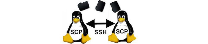 linux利用scp远程上传下载文件/文件夹
