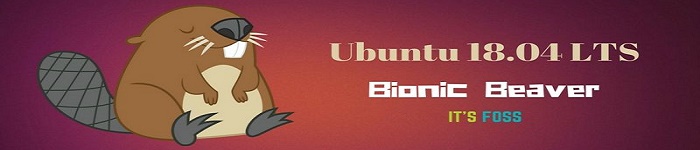 Ubuntu 18.04上Qmmp安装教程
