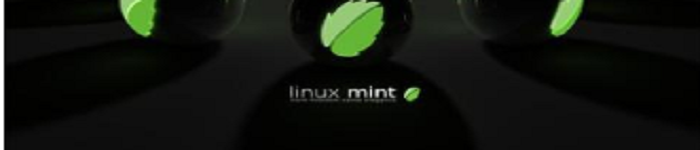 Linux Mint在进行网上银行交易需谨慎