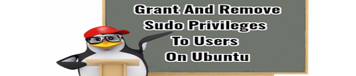 一起学习在 Ubuntu 上授予和移除 sudo 权限
