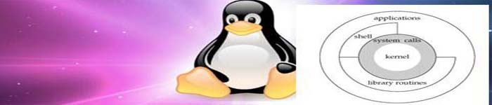 如何在Linux 中获取硬盘分区或文件系统的UUID？