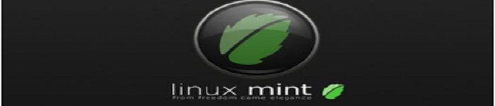 Win10系统如何安装Linux Mint