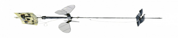 RoboBee“X-Wing”正式成为实现持续无缆飞行的最轻型飞行器