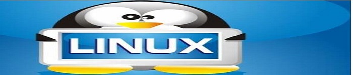 Linux系统故障修复和修复技巧