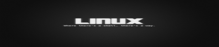 什么是Linux系统？