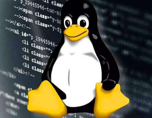 教你玩转Linux—与用户账号有关的系统文件
