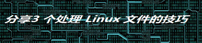 分享3 个处理 Linux 文件的技巧