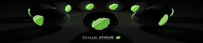 Linux Mint 20正式砍掉32位ISO镜像(内部代号Ulyana)