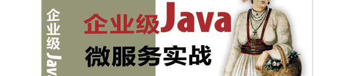 《企业级Java微服务实战》pdf电子书免费下载