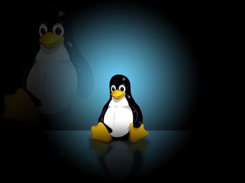 有望在变压器中运行Linux有望在变压器中运行Linux