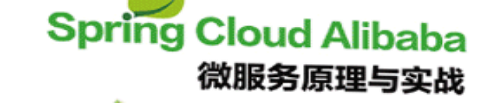 《Spring Cloud Alibaba微服务原理与实战》pdf电子书免费下载
