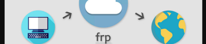FRP指定访问者:安全地暴露内网服务