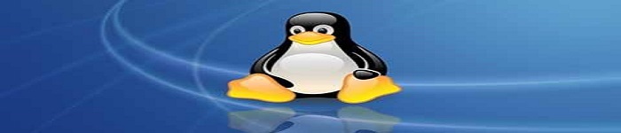 Linux僵尸进程处置