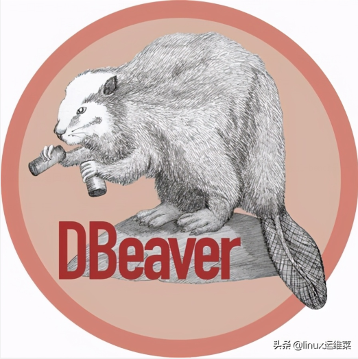 DBeaver 23.2.3发布，带来多项增强和修复DBeaver 23.2.3发布，带来多项增强和修复