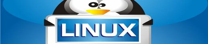 如何在Linux中使用Shell脚本终止用户会话？