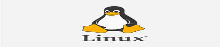 Linux 内核开发者完成了对所有来自 UMN.edu 补丁的审查