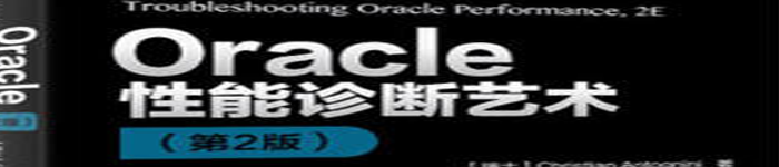 《Oracle性能诊断艺术（第2版）》pdf电子书免费下载