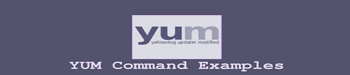 yum工具对软件包安装，删除，更新介绍