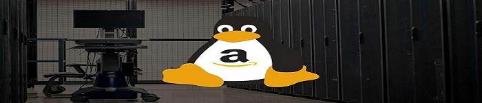 亚马逊展示新通用 Linux 发行版AL2022