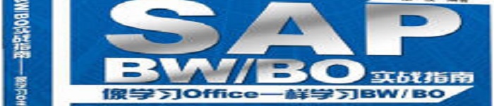 《SAP BW/BO实战指南—像学习Office一样学习BW/BO》pdf电子书免费下载
