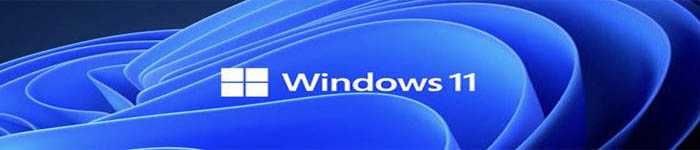 Windows 11桌面定制工具-贴纸编辑器