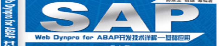 《SAP Web Dynpro for ABAP开发技术详解 基础应用》pdf电子书免费下载