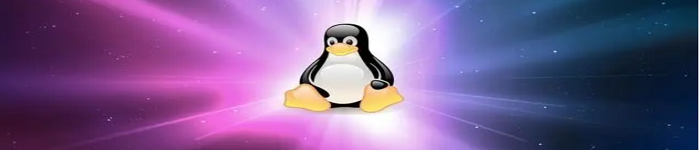 Linux系统上最快的3个GPU加速终端仿真器你知道吗?